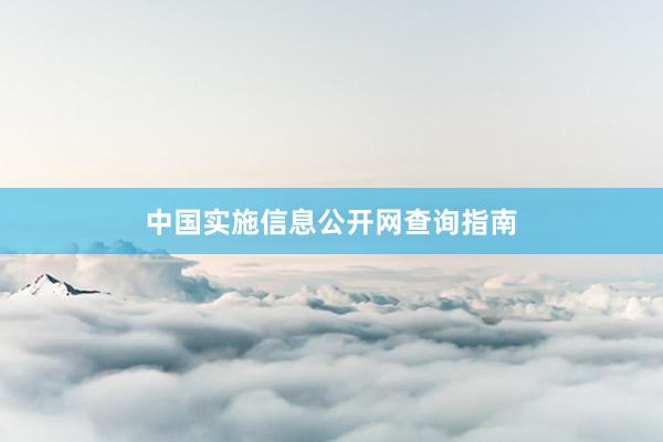 中国实施信息公开网查询指南